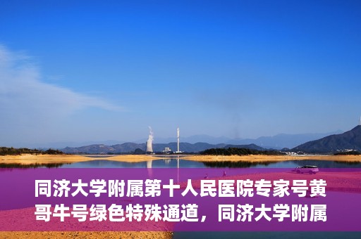 同济大学附属第十人民医院专家号黄哥牛号绿色特殊通道，同济大学附属第十人民医院专家号黄哥牛号，绿色特殊通道开启健康之门