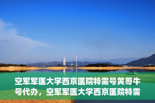 空军军医大学西京医院特需号黄哥牛号代办，空军军医大学西京医院特需专家黄哥牛号预约代办服务解析