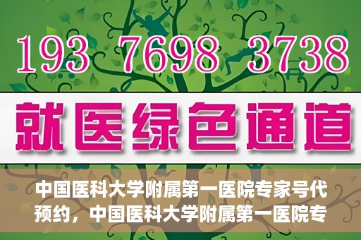 中国医科大学附属第一医院专家号代预约，中国医科大学附属第一医院专家号预约挂号服务解析