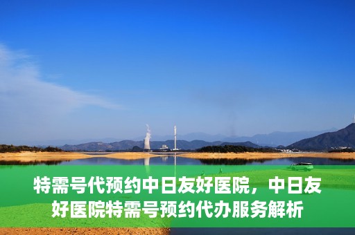 特需号代预约中日友好医院，中日友好医院特需号预约代办服务解析