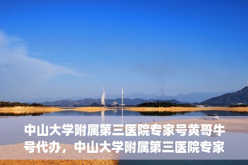 中山大学附属第三医院专家号黄哥牛号代办，中山大学附属第三医院专家号代办服务解析，黄哥牛号助您轻松预约专家号