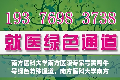 南方医科大学南方医院专家号黄哥牛号绿色特殊通道，南方医科大学南方医院专家黄哥牛号，绿色特殊通道的健康守护者