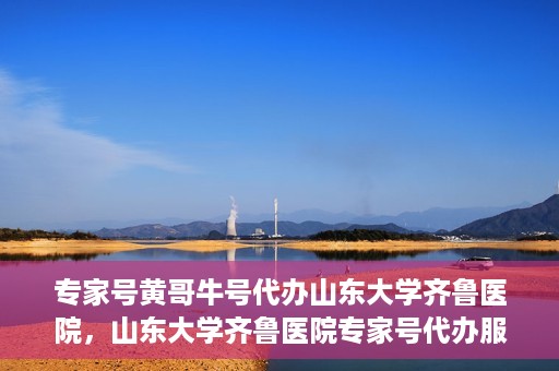专家号黄哥牛号代办山东大学齐鲁医院，山东大学齐鲁医院专家号代办服务揭秘，黄哥牛号助力就医无忧