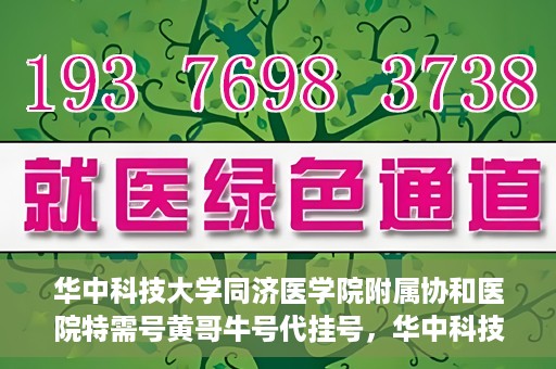 华中科技大学同济医学院附属协和医院特需号黄哥牛号代挂号，华中科技大学同济医学院附属协和医院特需号黄哥牛号代挂号服务解析