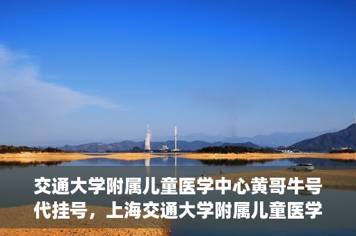 交通大学附属儿童医学中心黄哥牛号代挂号，上海交通大学附属儿童医学中心黄哥牛号代挂号解析与攻略