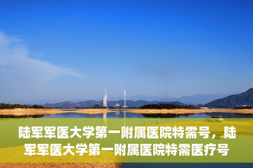 陆军军医大学第一附属医院特需号，陆军军医大学第一附属医院特需医疗号服务详解