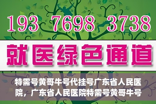 特需号黄哥牛号代挂号广东省人民医院，广东省人民医院特需号黄哥牛号代挂号服务解析