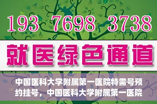 中国医科大学附属第一医院特需号预约挂号，中国医科大学附属第一医院特需号预约挂号服务详解