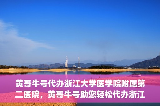 黄哥牛号代办浙江大学医学院附属第二医院，黄哥牛号助您轻松代办浙江大学医学院附属第二医院业务