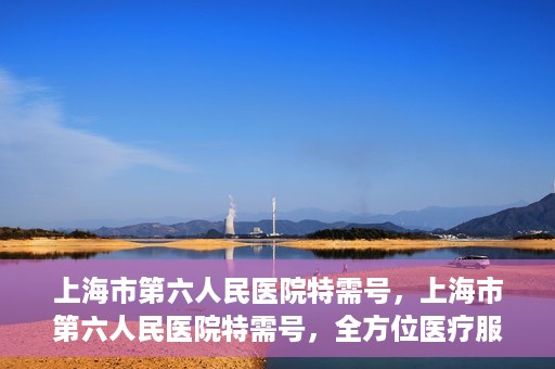 上海市第六人民医院特需号，上海市第六人民医院特需号，全方位医疗服务的深度解读