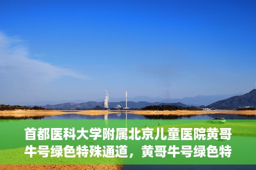 首都医科大学附属北京儿童医院黄哥牛号绿色特殊通道，黄哥牛号绿色特殊通道——北京儿童医院创新医疗服务的探索与实践