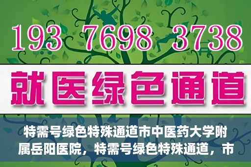 特需号绿色特殊通道市中医药大学附属岳阳医院，特需号绿色特殊通道，市中医药大学附属岳阳医院的医疗特色与优势