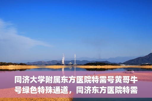同济大学附属东方医院特需号黄哥牛号绿色特殊通道，同济东方医院特需号黄哥牛号，绿色特殊通道的独家解读