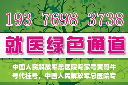中国人民解放军总医院专家号黄哥牛号代挂号，中国人民解放军总医院专家号黄哥牛号代挂号服务解析