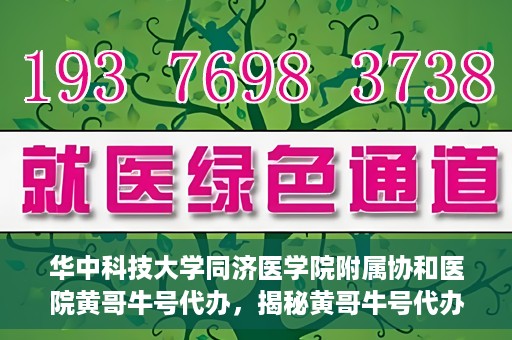 华中科技大学同济医学院附属协和医院黄哥牛号代办，揭秘黄哥牛号代办背后的故事，华中科技大学同济医学院附属协和医院就医新途径探索