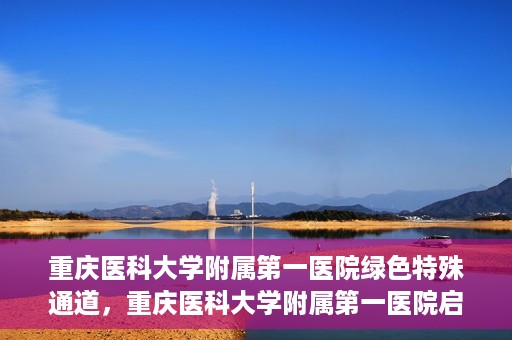 重庆医科大学附属第一医院绿色特殊通道，重庆医科大学附属第一医院启动绿色特殊通道，高效医疗服务的探索与实践