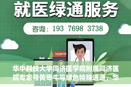 华中科技大学同济医学院附属同济医院专家号黄哥牛号绿色特殊通道，华中科技大学同济医院专家号黄哥牛号，绿色特殊通道揭秘