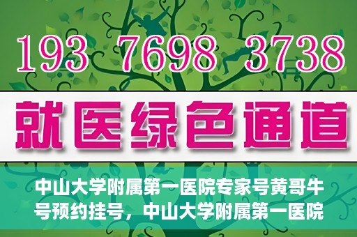 中山大学附属第一医院专家号黄哥牛号预约挂号，中山大学附属第一医院专家黄哥牛号预约攻略，一站式挂号解析