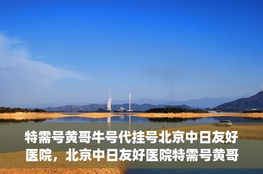 特需号黄哥牛号代挂号北京中日友好医院，北京中日友好医院特需号黄哥牛号代挂号服务详解