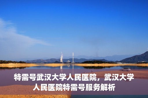 特需号武汉大学人民医院，武汉大学人民医院特需号服务解析