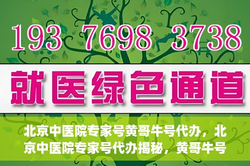 北京中医院专家号黄哥牛号代办，北京中医院专家号代办揭秘，黄哥牛号背后的故事