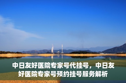 中日友好医院专家号代挂号，中日友好医院专家号预约挂号服务解析