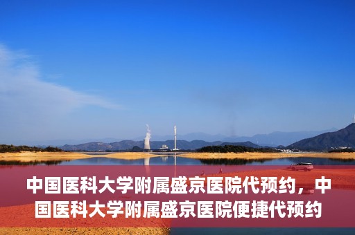 中国医科大学附属盛京医院代预约，中国医科大学附属盛京医院便捷代预约服务解析
