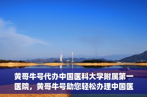 黄哥牛号代办中国医科大学附属第一医院，黄哥牛号助您轻松办理中国医科大学附属第一医院事务。
