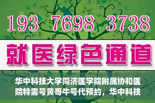 华中科技大学同济医学院附属协和医院特需号黄哥牛号代预约，华中科技大学同济医学院附属协和医院特需号预约服务解析，黄哥牛号预约详解