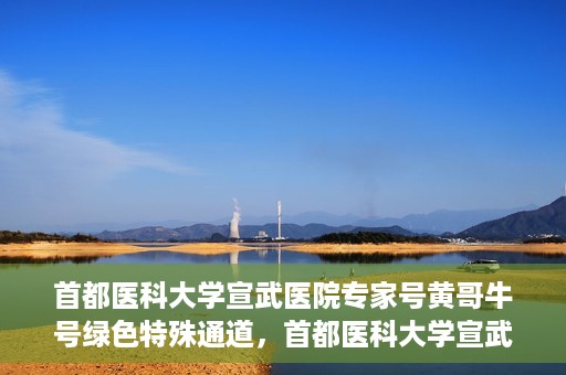 首都医科大学宣武医院专家号黄哥牛号绿色特殊通道，首都医科大学宣武医院专家号黄哥牛号，绿色特殊通道揭秘