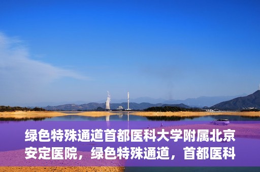 绿色特殊通道首都医科大学附属北京安定医院，绿色特殊通道，首都医科大学附属北京安定医院的探索与实践