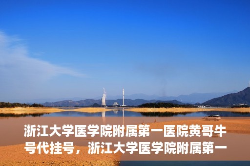 浙江大学医学院附属第一医院黄哥牛号代挂号，浙江大学医学院附属第一医院黄哥牛号代挂号服务解析