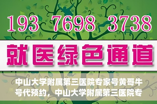 中山大学附属第三医院专家号黄哥牛号代预约，中山大学附属第三医院专家号预约服务解析，黄哥牛号代预约详解