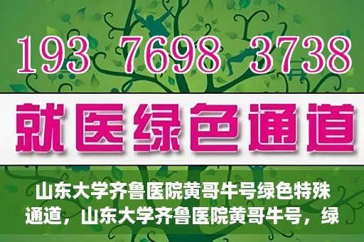 山东大学齐鲁医院黄哥牛号绿色特殊通道，山东大学齐鲁医院黄哥牛号，绿色特殊通道开启健康之门