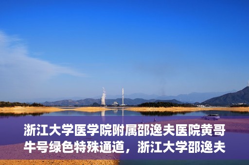 浙江大学医学院附属邵逸夫医院黄哥牛号绿色特殊通道，浙江大学邵逸夫医院绿色特殊通道，黄哥牛号引领医疗新风尚