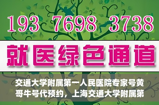 交通大学附属第一人民医院专家号黄哥牛号代预约，上海交通大学附属第一人民医院专家号预约服务解析，黄哥牛号预约攻略揭秘