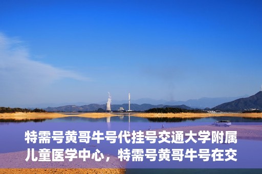 特需号黄哥牛号代挂号交通大学附属儿童医学中心，特需号黄哥牛号在交通大学附属儿童医学中心的专业代挂号服务
