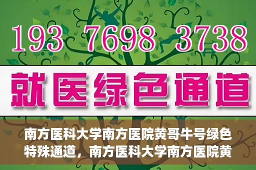 南方医科大学南方医院黄哥牛号绿色特殊通道，南方医科大学南方医院黄哥牛号，绿色特殊通道开启健康之门