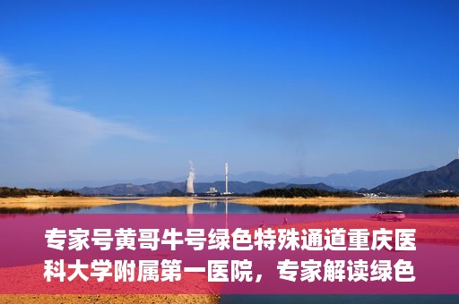 专家号黄哥牛号绿色特殊通道重庆医科大学附属第一医院，专家解读绿色特殊通道，重庆医科大学附属第一医院黄哥牛号实践探索