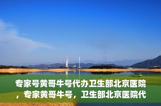 专家号黄哥牛号代办卫生部北京医院，专家黄哥牛号，卫生部北京医院代办服务解析