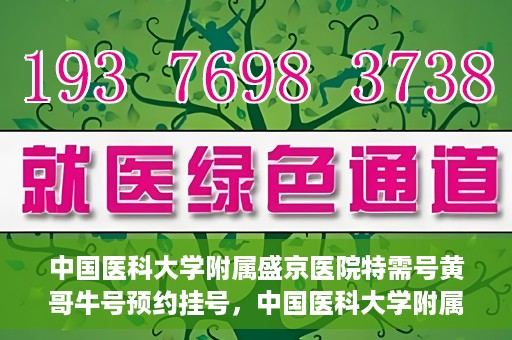 中国医科大学附属盛京医院特需号黄哥牛号预约挂号，中国医科大学附属盛京医院特需号专家黄哥牛号预约挂号攻略