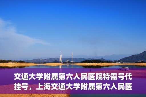 交通大学附属第六人民医院特需号代挂号，上海交通大学附属第六人民医院特需号代挂号服务解析