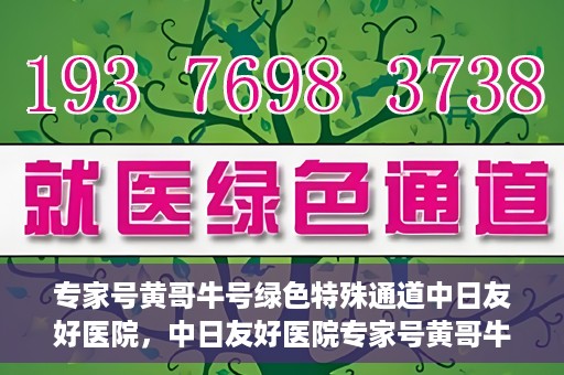 专家号黄哥牛号绿色特殊通道中日友好医院，中日友好医院专家号黄哥牛号开启绿色特殊通道，助力健康中日交流新篇章