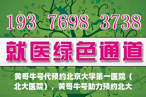 黄哥牛号代预约北京大学第一医院（北大医院），黄哥牛号助力预约北大医院——北京大学第一医院权威预约服务开启