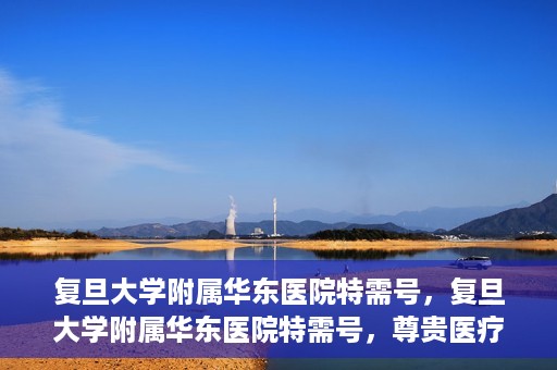 复旦大学附属华东医院特需号，复旦大学附属华东医院特需号，尊贵医疗体验，个性化健康守护