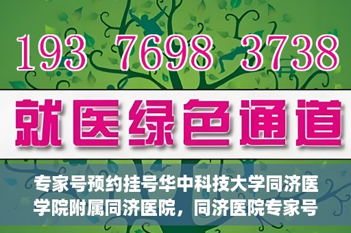 专家号预约挂号华中科技大学同济医学院附属同济医院，同济医院专家号预约挂号攻略，深度解析华中科技大学同济医学院附属同济医院医疗服务