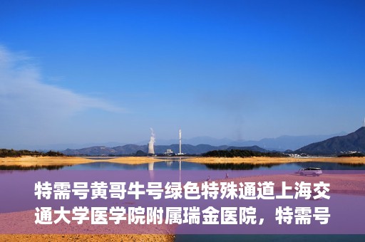 特需号黄哥牛号绿色特殊通道上海交通大学医学院附属瑞金医院，特需号黄哥牛号，瑞金医院的绿色特殊通道探索