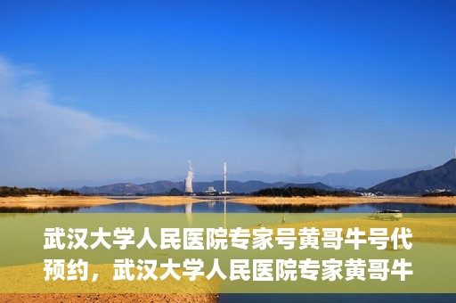 武汉大学人民医院专家号黄哥牛号代预约，武汉大学人民医院专家黄哥牛预约服务解析