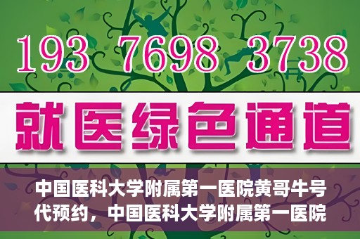 中国医科大学附属第一医院黄哥牛号代预约，中国医科大学附属第一医院黄哥牛号预约服务详解