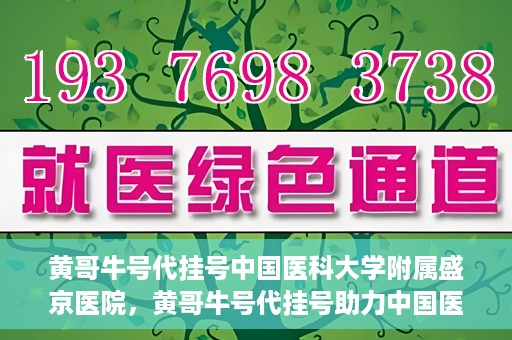 黄哥牛号代挂号中国医科大学附属盛京医院，黄哥牛号代挂号助力中国医科大学附属盛京医院就医便捷化